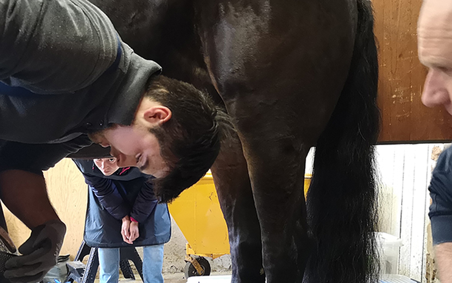 Gamla metoder och nya rön hjälper Racke