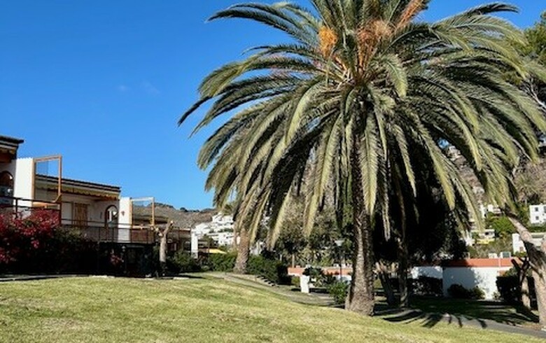 Semesterlägenheter på Gran Canaria